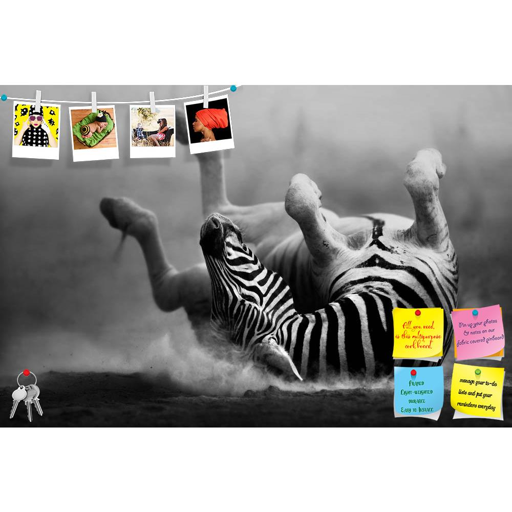 ArtzFolio Zebra Rolling In The Dust Printed Bulletin Board Notice Pin Board Soft Board | Frameless-Bulletin Boards Frameless-AZSAO14557118BLB_FL_L-Image Code 5001321 Vishnu Image Folio Pvt Ltd, IC 5001321, ArtzFolio, Bulletin Boards Frameless, Animals, Photography, zebra, rolling, in, the, dust, printed, bulletin, board, notice, pin, soft, frameless, artistic, processing, pin up board, push pin board, extra large cork board, big pin board, notice board, small bulletin board, cork board, wall notice board, g
