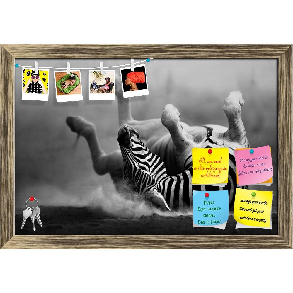 ArtzFolio Zebra Rolling In The Dust Printed Bulletin Board Notice Pin Board Soft Board | Framed-Bulletin Boards Framed-AZSAO14557118BLB_FR_L-Image Code 5001321 Vishnu Image Folio Pvt Ltd, IC 5001321, ArtzFolio, Bulletin Boards Framed, Animals, Photography, zebra, rolling, in, the, dust, printed, bulletin, board, notice, pin, soft, framed, artistic, processing, pin up board, push pin board, extra large cork board, big pin board, notice board, small bulletin board, cork board, wall notice board, giant cork bo