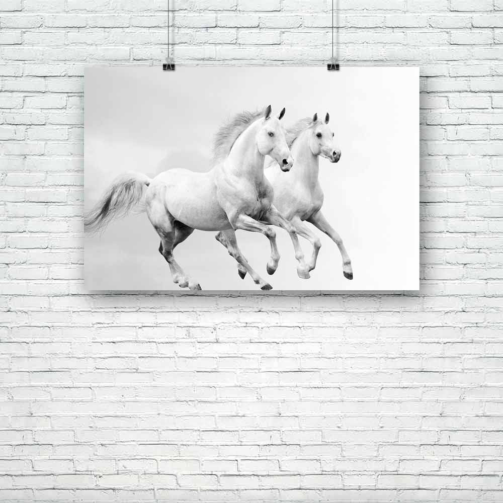 White Horses D5 Unframed Paper Poster-Paper Posters Unframed-POS_UN-IC 5001324 IC 5001324, Art and Paintings, Black, Black and White, Nature, Scenic, White, horses, d5, unframed, paper, poster, horse, arabian, beast, dust, emotions, equestrian, equine, farm, fast, fastest, fight, force, forward, free, freedom, gallop, gray, grey, ground, herd, hoofed, isolated, jump, light, male, mammal, mane, motion, moving, power, ranch, run, runner, sand, silver, speed, stallion, start, strong, success, tale, two, wild, 