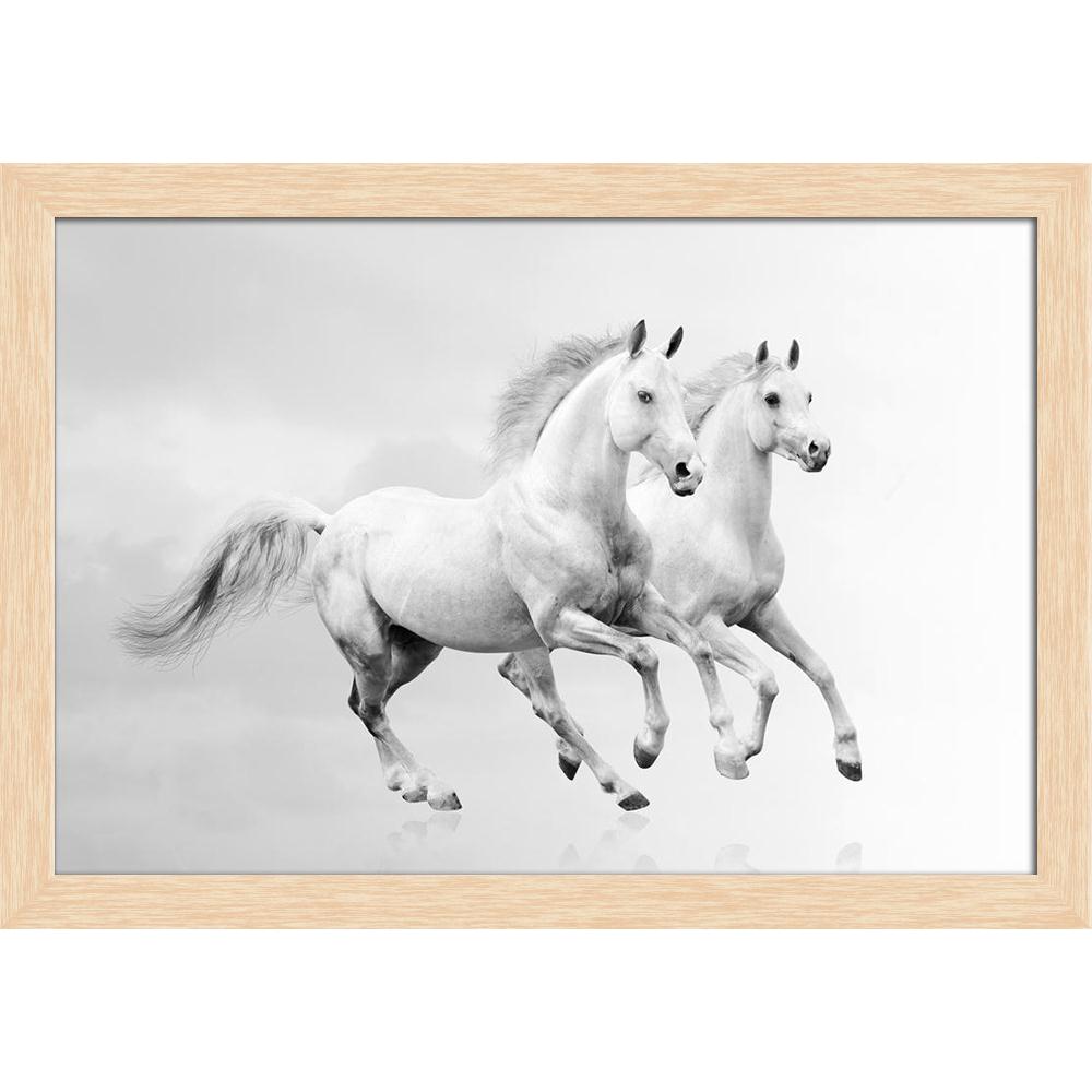 Pitaara Box White Horses D5 Canvas Painting Synthetic Frame-Paintings Synthetic Framing-PBART14572855AFF_FW_L-Image Code 5001324 Vishnu Image Folio Pvt Ltd, IC 5001324, Pitaara Box, Paintings Synthetic Framing, Animals, Photography, white, horses, d5, canvas, painting, synthetic, frame, framed canvas print, wall painting for living room with frame, canvas painting for living room, artzfolio, poster, framed canvas painting, wall painting with frame, canvas painting with frame living room, canvas wall paintin