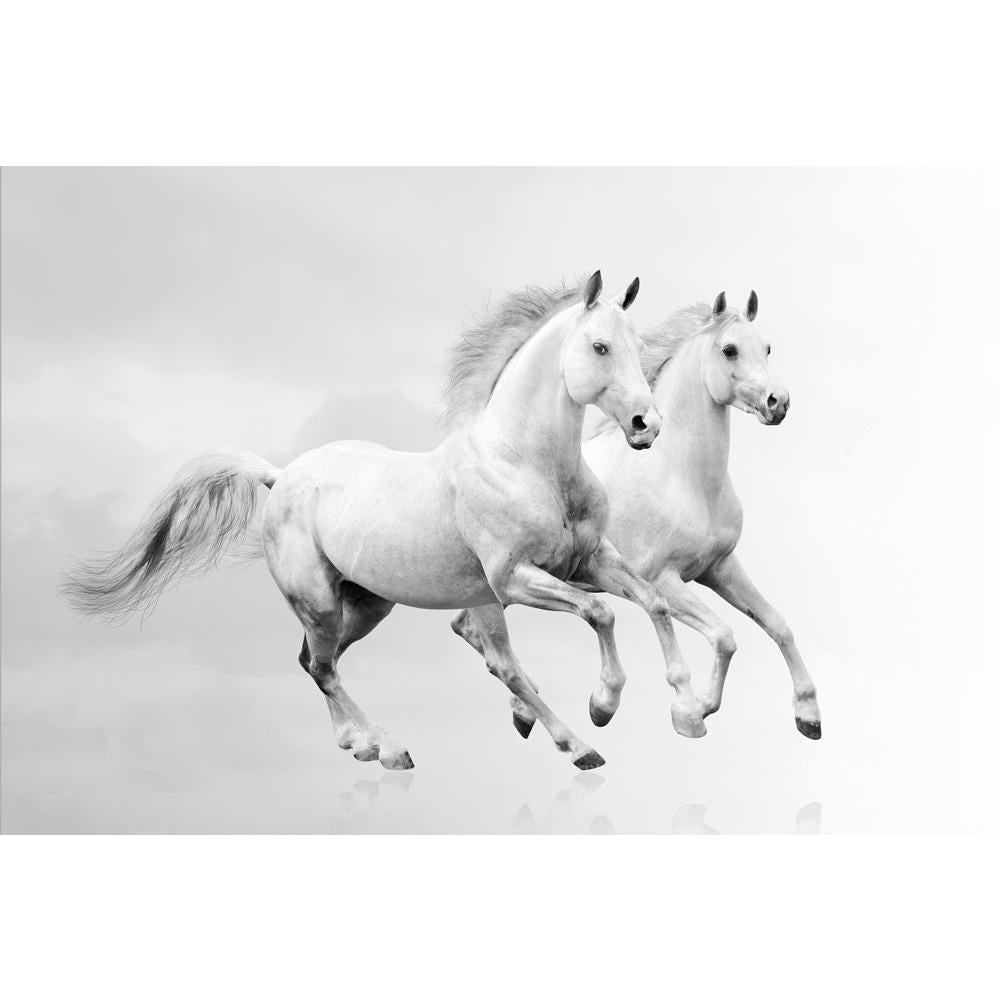 Pitaara Box White Horses D5 Canvas Painting Synthetic Frame-Paintings MDF Framing-PBART14572855AFF_FR_L-Image Code 5001324 Vishnu Image Folio Pvt Ltd, IC 5001324, Pitaara Box, Paintings MDF Framing, Animals, Photography, white, horses, d5, canvas, painting, synthetic, frame, framed canvas print, wall painting for living room with frame, canvas painting for living room, artzfolio, poster, framed canvas painting, wall painting with frame, canvas painting with frame living room, canvas wall painting, large siz