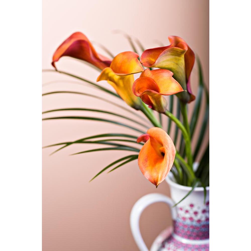 Calla Lily Flower Canvas Painting Synthetic Frame-Paintings MDF Framing-AFF_FR-IC 5001348 IC 5001348, Botanical, Floral, Flowers, Love, Nature, Romance, Scenic, calla, lily, flower, canvas, painting, synthetic, frame, arum, backyard, beauty, dahlia, freshness, garden, petals, plant, single, artzfolio, wall decor for living room, wall frames for living room, frames for living room, wall art, canvas painting, wall frame, scenery, panting, paintings for living room, framed wall art, wall painting, scenery pain