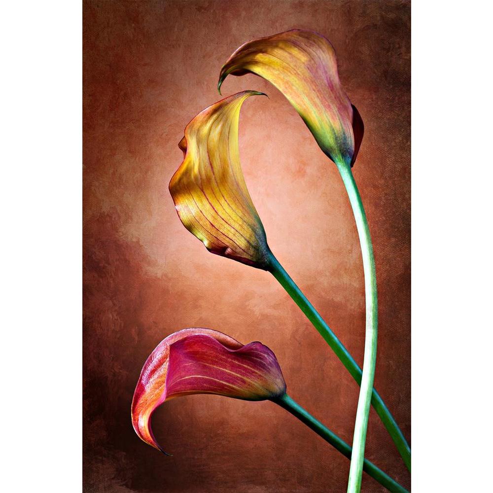 ArtzFolio Calla Lily Flower D3 Unframed Paper Poster-Paper Posters Unframed-AZART14662350POS_UN_L-Image Code 5001350 Vishnu Image Folio Pvt Ltd, IC 5001350, ArtzFolio, Paper Posters Unframed, Floral, Photography, calla, lily, flower, d3, unframed, paper, poster, wall, large, size, for, living, room, home, decoration, big, framed, decor, posters, pitaara, box, modern, art, with, frame, bedroom, amazonbasics, door, drawing, small, decorative, office, reception, multiple, friends, images, reprints, reprint, ki