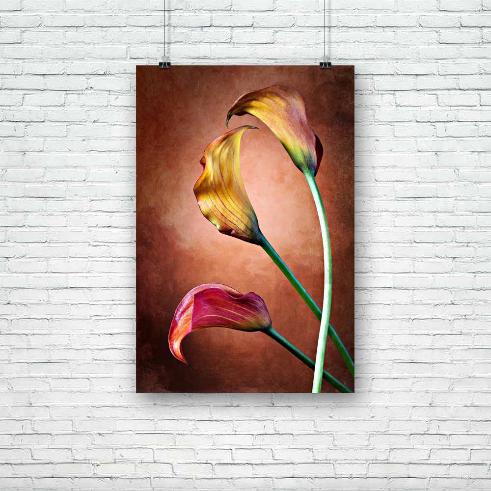 Calla Lily Flower D3 Unframed Paper Poster-Paper Posters Unframed-POS_UN-IC 5001350 IC 5001350, Botanical, Floral, Flowers, Love, Nature, Romance, Scenic, calla, lily, flower, d3, unframed, paper, poster, arum, beauty, freshness, garden, petals, plant, red, artzfolio, posters, wall posters, posters for room, posters for room decoration, office poster, door poster, baby poster, motivational posters, posters for room boys, quotes, poster for wall decoration, friends poster, abstract paintings for living room,