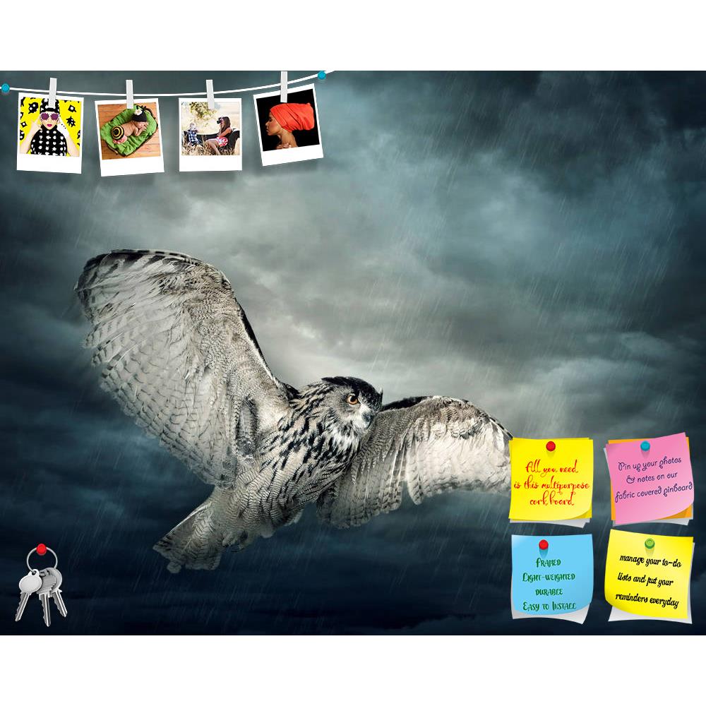 ArtzFolio Owl Bird Printed Bulletin Board Notice Pin Board Soft Board | Frameless-Bulletin Boards Frameless-AZSAO14707417BLB_FL_L-Image Code 5001368 Vishnu Image Folio Pvt Ltd, IC 5001368, ArtzFolio, Bulletin Boards Frameless, Birds, Photography, owl, bird, printed, bulletin, board, notice, pin, soft, frameless, flying, night, pin up board, push pin board, extra large cork board, big pin board, notice board, small bulletin board, cork board, wall notice board, giant cork board, bulletin board, office notice