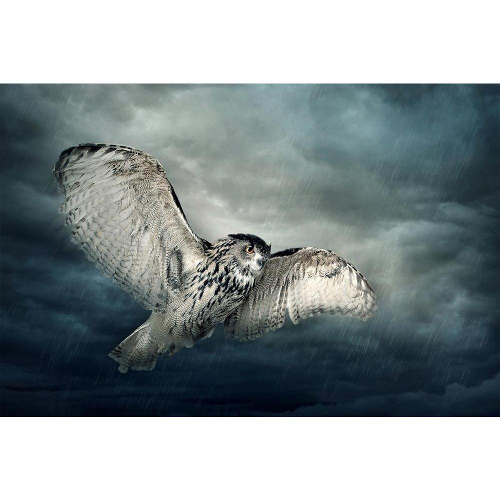 ArtzFolio Owl Bird Unframed Paper Poster-Paper Posters Unframed-AZART14707417POS_UN_L-Image Code 5001368 Vishnu Image Folio Pvt Ltd, IC 5001368, ArtzFolio, Paper Posters Unframed, Birds, Photography, owl, bird, unframed, paper, poster, wall, large, size, for, living, room, home, decoration, big, framed, decor, posters, pitaara, box, modern, art, with, frame, bedroom, amazonbasics, door, drawing, small, decorative, office, reception, multiple, friends, images, reprints, reprint, kids, bathroom, designer, pai