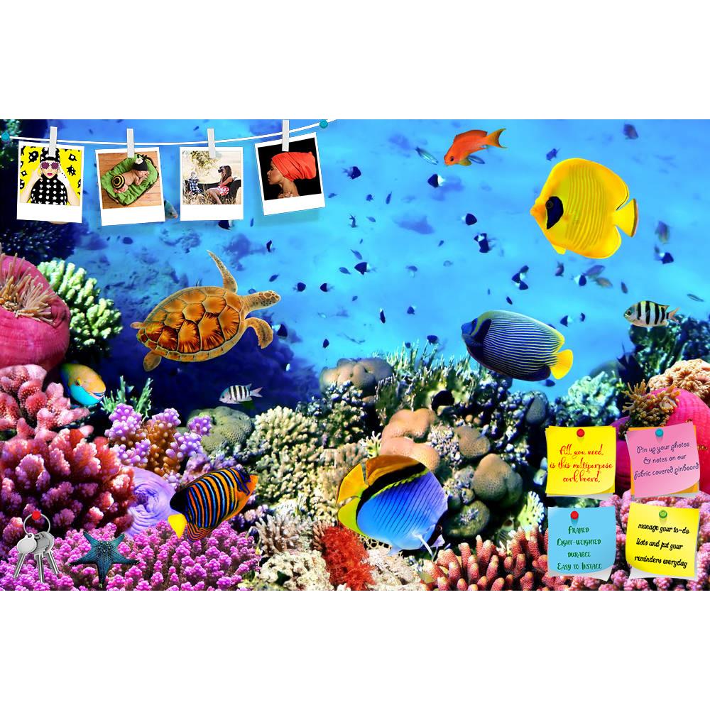 ArtzFolio Coral Colony Red Sea Egypt Printed Bulletin Board Notice Pin Board Soft Board | Frameless-Bulletin Boards Frameless-AZSAO14709189BLB_FL_L-Image Code 5001369 Vishnu Image Folio Pvt Ltd, IC 5001369, ArtzFolio, Bulletin Boards Frameless, Animals, Kids, Photography, coral, colony, red, sea, egypt, printed, bulletin, board, notice, pin, soft, frameless, photo, pin up board, push pin board, extra large cork board, big pin board, notice board, small bulletin board, cork board, wall notice board, giant co