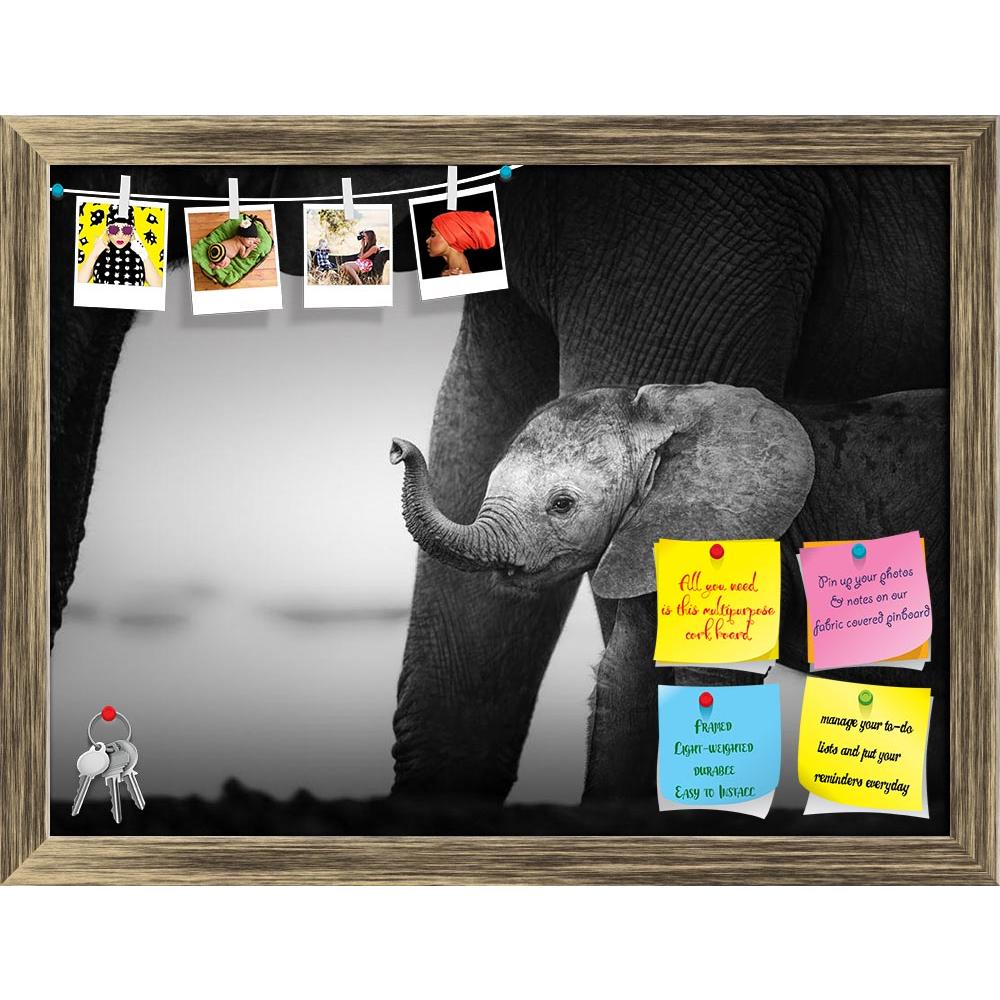 ArtzFolio Baby Elephant Next To Cow Printed Bulletin Board Notice Pin Board Soft Board | Framed-Bulletin Boards Framed-AZSAO14731931BLB_FR_L-Image Code 5001392 Vishnu Image Folio Pvt Ltd, IC 5001392, ArtzFolio, Bulletin Boards Framed, Animals, Photography, baby, elephant, next, to, cow, printed, bulletin, board, notice, pin, soft, framed, artistic, processing, addo, national, park, pin up board, push pin board, extra large cork board, big pin board, notice board, small bulletin board, cork board, wall notic