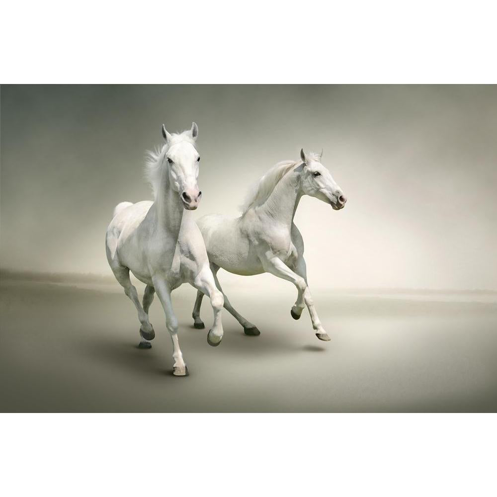 White Horses Canvas Painting Synthetic Frame-Paintings MDF Framing-AFF_FR-IC 5001410 IC 5001410, Animals, Art and Paintings, Birds, Black, Black and White, Individuals, Nature, Pets, Portraits, Scenic, Sports, White, horses, canvas, painting, synthetic, frame, horse, running, animal, arab, arabian, art, background, beautiful, beauty, couple, elegant, equestrian, equine, fauna, free, freedom, gallop, herd, isolated, light, lipizzaner, mammal, mane, mare, motion, moving, noble, outdoor, pair, pedigree, pet, p
