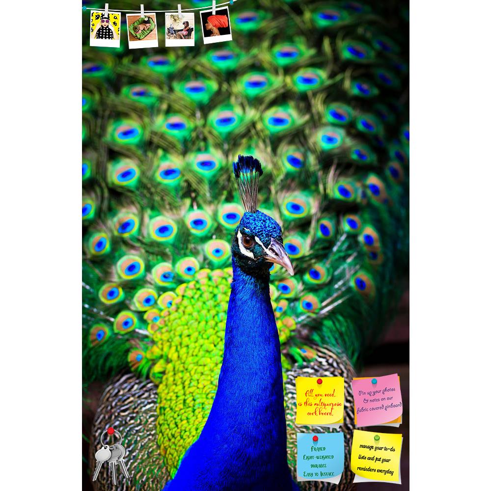 ArtzFolio Peacock With Feathers Printed Bulletin Board Notice Pin Board Soft Board | Frameless-Bulletin Boards Frameless-AZSAO14866065BLB_FL_L-Image Code 5001422 Vishnu Image Folio Pvt Ltd, IC 5001422, ArtzFolio, Bulletin Boards Frameless, Birds, Photography, peacock, with, feathers, printed, bulletin, board, notice, pin, soft, frameless, close-up, portrait, beautiful, out, pin up board, push pin board, extra large cork board, big pin board, notice board, small bulletin board, cork board, wall notice board,