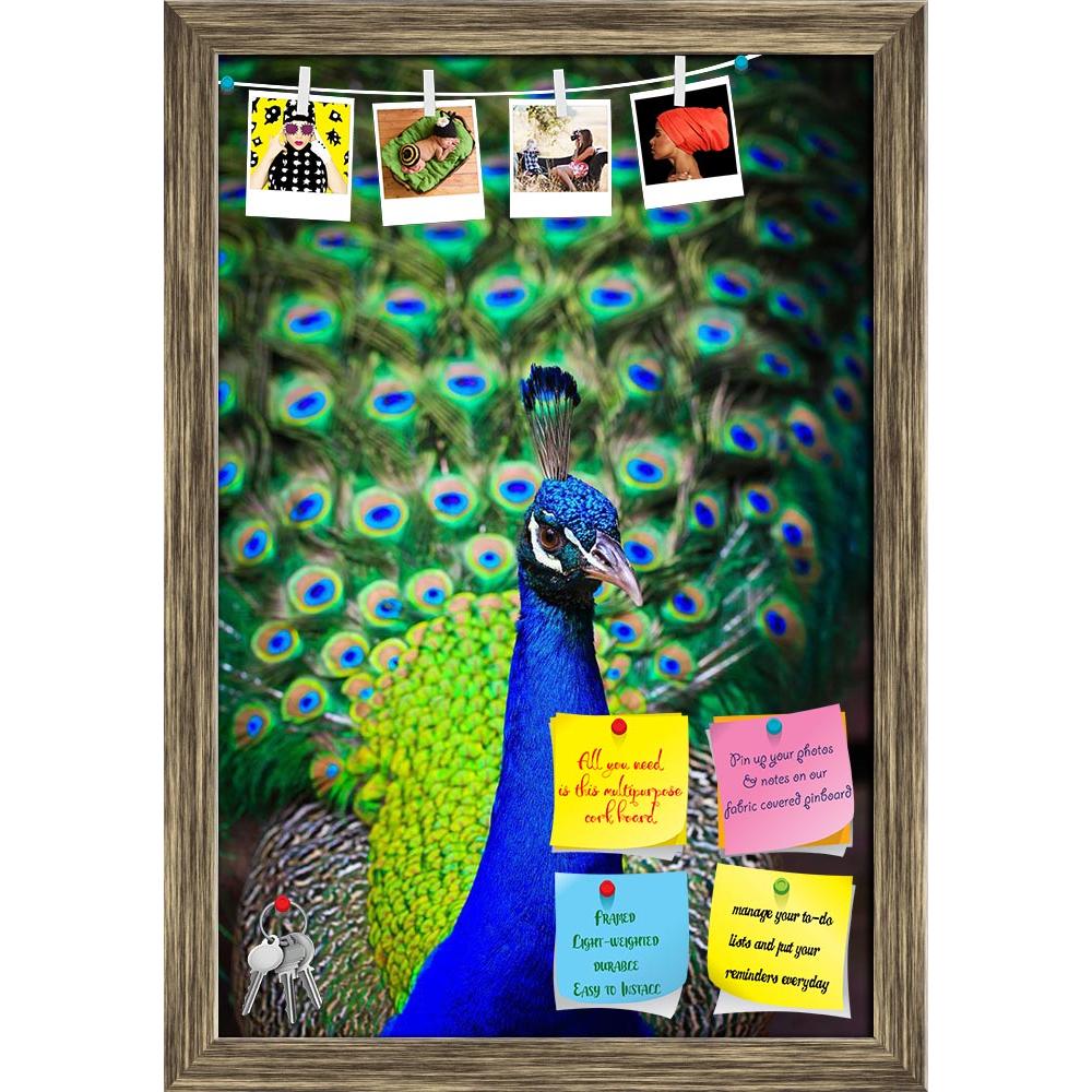 ArtzFolio Peacock With Feathers Printed Bulletin Board Notice Pin Board Soft Board | Framed-Bulletin Boards Framed-AZSAO14866065BLB_FR_L-Image Code 5001422 Vishnu Image Folio Pvt Ltd, IC 5001422, ArtzFolio, Bulletin Boards Framed, Birds, Photography, peacock, with, feathers, printed, bulletin, board, notice, pin, soft, framed, close-up, portrait, beautiful, out, pin up board, push pin board, extra large cork board, big pin board, notice board, small bulletin board, cork board, wall notice board, giant cork 