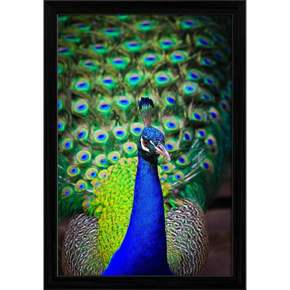 Pitaara Box Peacock With Feathers Canvas Painting Synthetic Frame-Paintings Synthetic Framing-PBART14866065AFF_FW_L-Image Code 5001422 Vishnu Image Folio Pvt Ltd, IC 5001422, Pitaara Box, Paintings Synthetic Framing, Birds, Photography, peacock, with, feathers, canvas, painting, synthetic, frame, close-up, portrait, beautiful, out, framed canvas print, wall painting for living room with frame, canvas painting for living room, artzfolio, poster, framed canvas painting, wall painting with frame, canvas painti