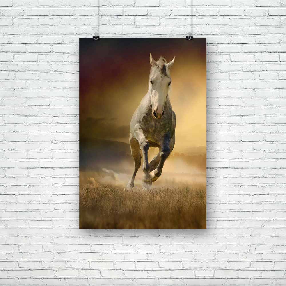 White Horse In Sunset Unframed Paper Poster-Paper Posters Unframed-POS_UN-IC 5001443 IC 5001443, Animals, Art and Paintings, Birds, Black, Black and White, Individuals, Nature, Pets, Portraits, Scenic, Sports, Sunsets, White, horse, in, sunset, unframed, paper, poster, horses, free, wild, arabian, running, photos, arab, animal, art, background, beautiful, beauty, elegant, equestrian, equine, farm, fauna, freedom, gallop, isolated, light, lipizzaner, mammal, mane, mare, motion, moving, noble, outdoor, pedigr