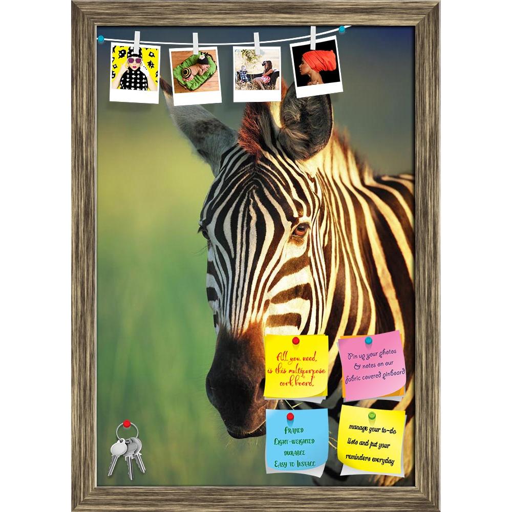 ArtzFolio Zebra Kruger National Park South Africa Printed Bulletin Board Notice Pin Board Soft Board | Framed-Bulletin Boards Framed-AZSAO14989810BLB_FR_L-Image Code 5001448 Vishnu Image Folio Pvt Ltd, IC 5001448, ArtzFolio, Bulletin Boards Framed, Animals, Photography, zebra, kruger, national, park, south, africa, printed, bulletin, board, notice, pin, soft, framed, portrait, pin up board, push pin board, extra large cork board, big pin board, notice board, small bulletin board, cork board, wall notice boa