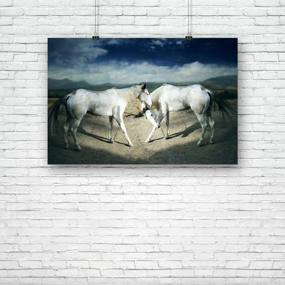 Two Beautiful White Horses Unframed Paper Poster-Paper Posters Unframed-POS_UN-IC 5001454 IC 5001454, Animals, Black and White, Countries, Landscapes, Nature, Scenic, White, two, beautiful, horses, unframed, paper, poster, animal, background, breeding, cloud, country, countryside, detail, environment, farm, hoof, horizontal, horse, mammal, moving, outside, profile, race, sky, wild, wonderful, artzfolio, posters, wall posters, posters for room, posters for room decoration, office poster, door poster, baby po