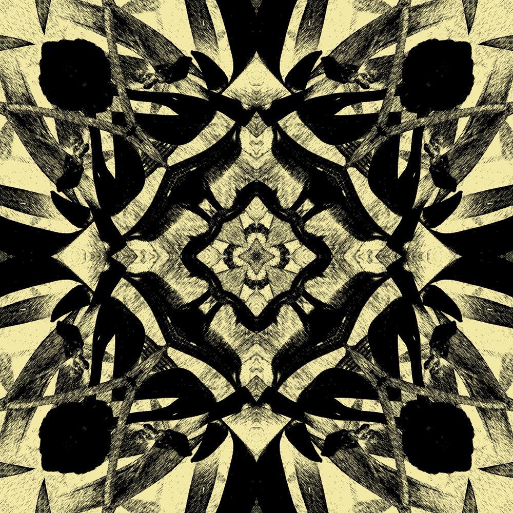 Geometric Ornamental Art Canvas Painting Synthetic Frame-Paintings MDF Framing-AFF_FR-IC 5001465 IC 5001465, Abstract Expressionism, Abstracts, Ancient, Animated Cartoons, Art and Paintings, Black, Black and White, Caricature, Cartoons, Culture, Decorative, Digital, Digital Art, Ethnic, Geometric, Geometric Abstraction, Graffiti, Graphic, Historical, Medieval, Patterns, Retro, Semi Abstract, Signs, Signs and Symbols, Symbols, Traditional, Tribal, Vintage, World Culture, ornamental, art, canvas, painting, sy