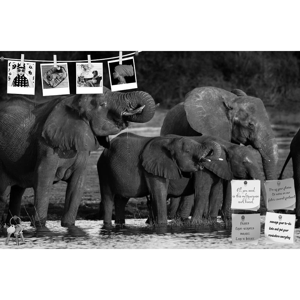 ArtzFolio Elephants D2 Printed Bulletin Board Notice Pin Board Soft Board | Frameless-Bulletin Boards Frameless-AZSAO15193387BLB_FL_L-Image Code 5001498 Vishnu Image Folio Pvt Ltd, IC 5001498, ArtzFolio, Bulletin Boards Frameless, Animals, Photography, elephants, d2, printed, bulletin, board, notice, pin, soft, frameless, black, white, pin up board, push pin board, extra large cork board, big pin board, notice board, small bulletin board, cork board, wall notice board, giant cork board, bulletin board, offi