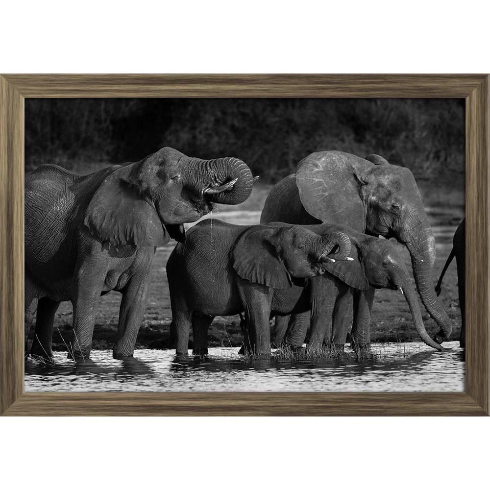 ArtzFolio Elephants D2 Paper Poster Frame | Top Acrylic Glass-Paper Posters Framed-AZART15193387POS_FR_L-Image Code 5001498 Vishnu Image Folio Pvt Ltd, IC 5001498, ArtzFolio, Paper Posters Framed, Animals, Photography, elephants, d2, paper, poster, frame, top, acrylic, glass, black, white, wall poster large size, wall poster for living room, poster for home decoration, paper poster, big size room poster, framed wall poster for living room, home decor posters, pitaara box, modern art poster, framed poster, w
