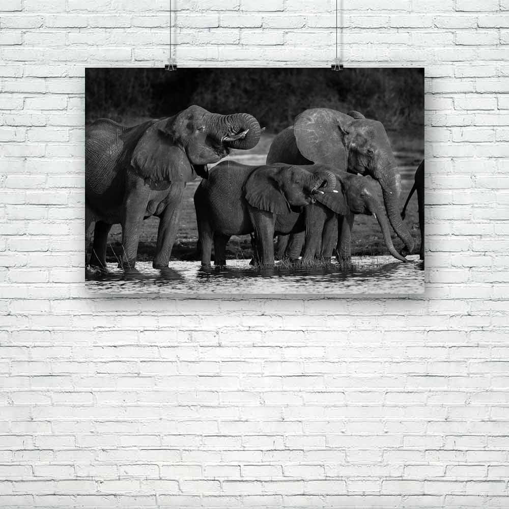 Elephants D1 Unframed Paper Poster-Paper Posters Unframed-POS_UN-IC 5001498 IC 5001498, African, Animals, Black, Black and White, Nature, Scenic, White, Wildlife, elephants, d1, unframed, paper, poster, africa, animal, big, and, botswana, calf, drink, drinking, elephant, group, herd, large, mammal, outdoors, park, river, safari, thirsty, trunk, tusks, water, wild, young, artzfolio, posters, wall posters, posters for room, posters for room decoration, office poster, door poster, baby poster, motivational pos