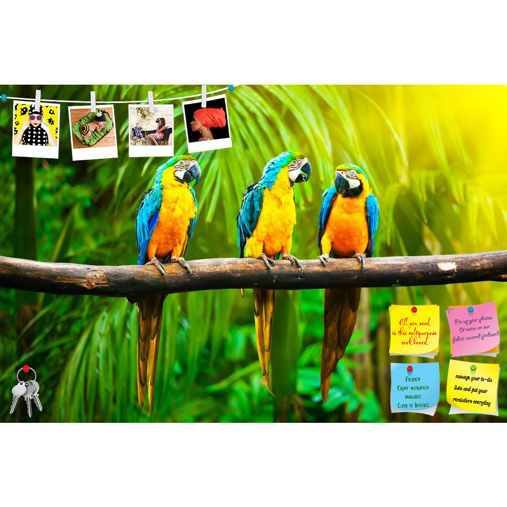 ArtzFolio Blue & Yellow Macaw D1 Printed Bulletin Board Notice Pin Board Soft Board | Frameless-Bulletin Boards Frameless-AZSAO15442405BLB_FL_L-Image Code 5001575 Vishnu Image Folio Pvt Ltd, IC 5001575, ArtzFolio, Bulletin Boards Frameless, Birds, Photography, blue, yellow, macaw, d1, printed, bulletin, board, notice, pin, soft, frameless, blue-and-yellow, ara, ararauna, also, known, as, blue-and-gold, pin up board, push pin board, extra large cork board, big pin board, notice board, small bulletin board, c