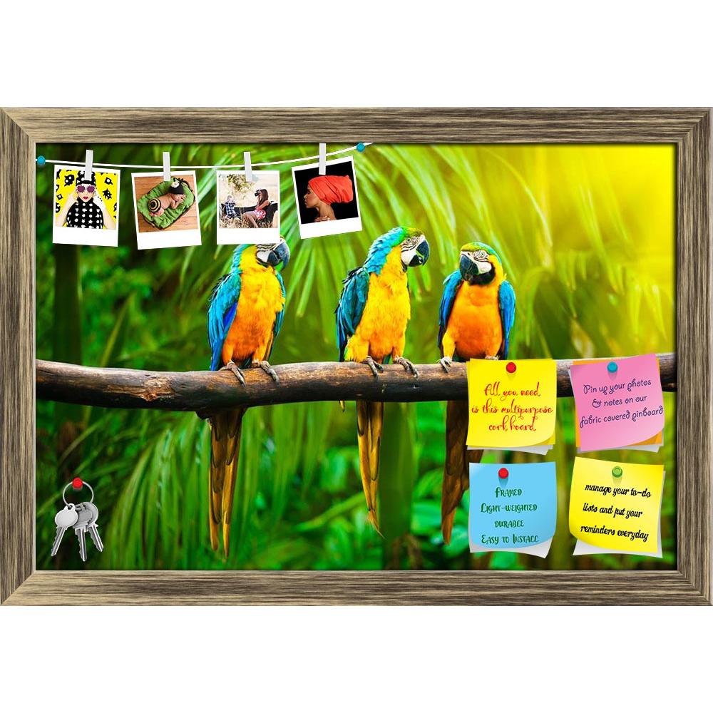 ArtzFolio Blue & Yellow Macaw D1 Printed Bulletin Board Notice Pin Board Soft Board | Framed-Bulletin Boards Framed-AZSAO15442405BLB_FR_L-Image Code 5001575 Vishnu Image Folio Pvt Ltd, IC 5001575, ArtzFolio, Bulletin Boards Framed, Birds, Photography, blue, yellow, macaw, d1, printed, bulletin, board, notice, pin, soft, framed, blue-and-yellow, ara, ararauna, also, known, as, blue-and-gold, pin up board, push pin board, extra large cork board, big pin board, notice board, small bulletin board, cork board, w