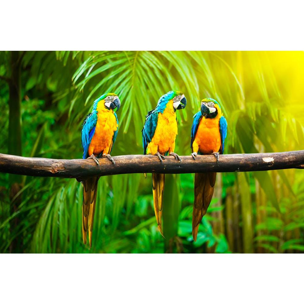 Blue & Yellow Macaw Canvas Painting Synthetic Frame-Paintings MDF Framing-AFF_FR-IC 5001575 IC 5001575, Animals, Birds, Wildlife, blue, yellow, macaw, canvas, painting, synthetic, frame, parrot, parrots, on, branch, animal, ara, ararauna, aves, bird, bright, color, colorful, colour, colourful, plants, tree, wild, artzfolio, wall decor for living room, wall frames for living room, frames for living room, wall art, canvas painting, wall frame, scenery, panting, paintings for living room, framed wall art, wall