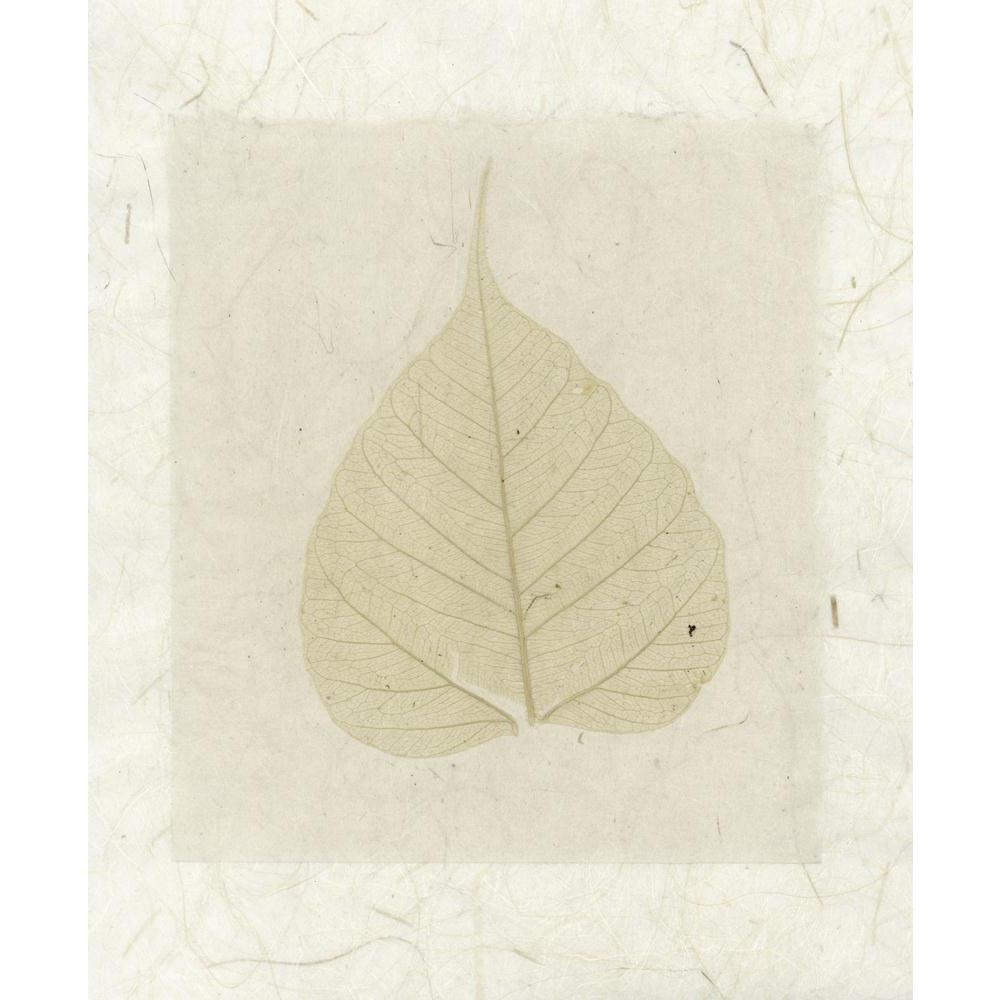 Bodhi Leaf Collage With Natural Organic Papers Canvas Painting Synthetic Frame-Paintings MDF Framing-AFF_FR-IC 5001589 IC 5001589, Art and Paintings, Asian, Buddhism, Cities, City Views, Collages, Minimalism, Nature, Scenic, Spiritual, bodhi, leaf, collage, with, natural, organic, papers, canvas, painting, synthetic, frame, art, biology, brown, change, curve, enlightenment, fall, fallen, paper, rice, shape, simple, simplicity, skeleton, soul, transformation, veins, winter, zen, artzfolio, wall decor for liv