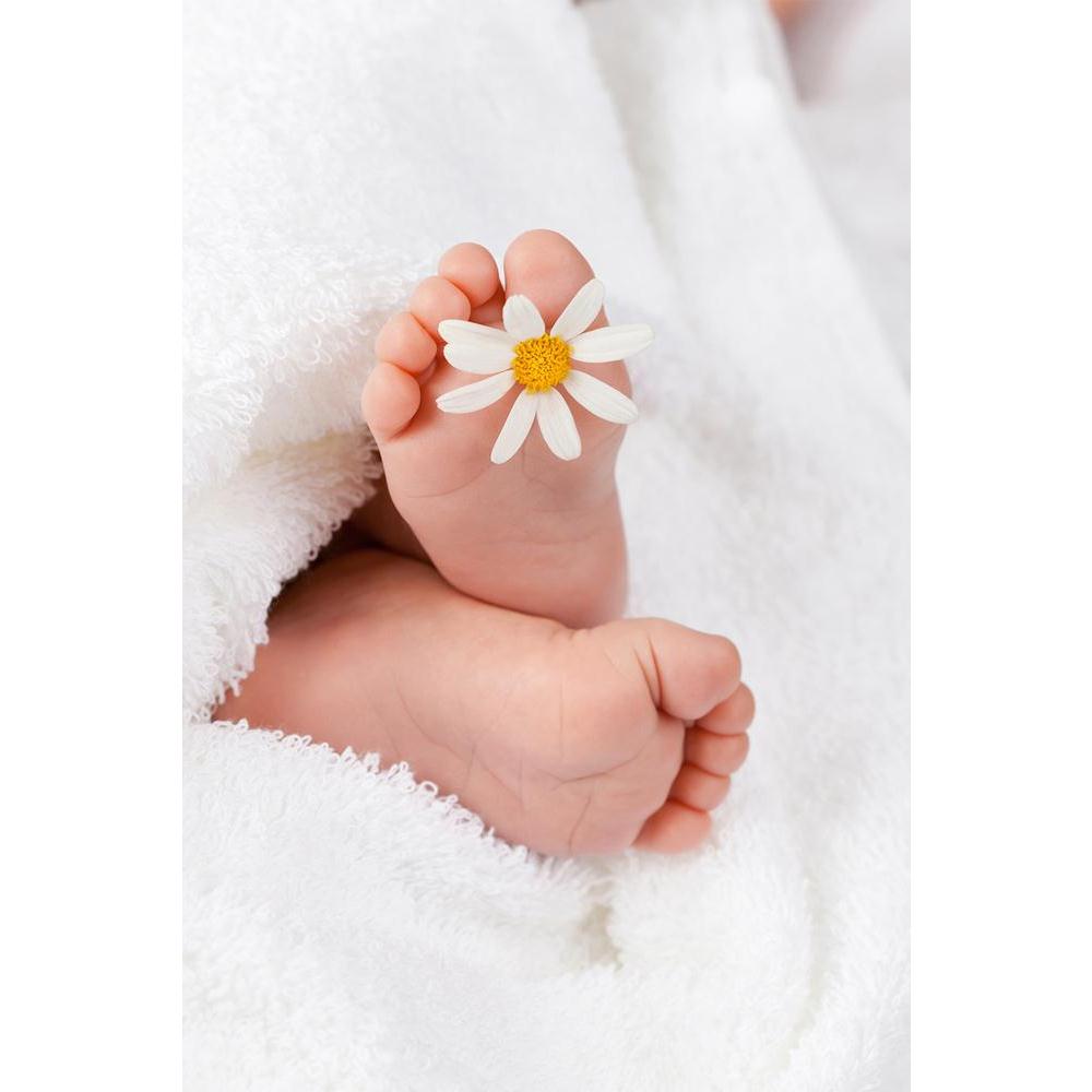 ArtzFolio Infant Foot With White Daisy Unframed Paper Poster-Paper Posters Unframed-AZART15522045POS_UN_L-Image Code 5001595 Vishnu Image Folio Pvt Ltd, IC 5001595, ArtzFolio, Paper Posters Unframed, Kids, Photography, infant, foot, with, white, daisy, unframed, paper, poster, wall, large, size, for, living, room, home, decoration, big, framed, decor, posters, pitaara, box, modern, art, frame, bedroom, amazonbasics, door, drawing, small, decorative, office, reception, multiple, friends, images, reprints, re