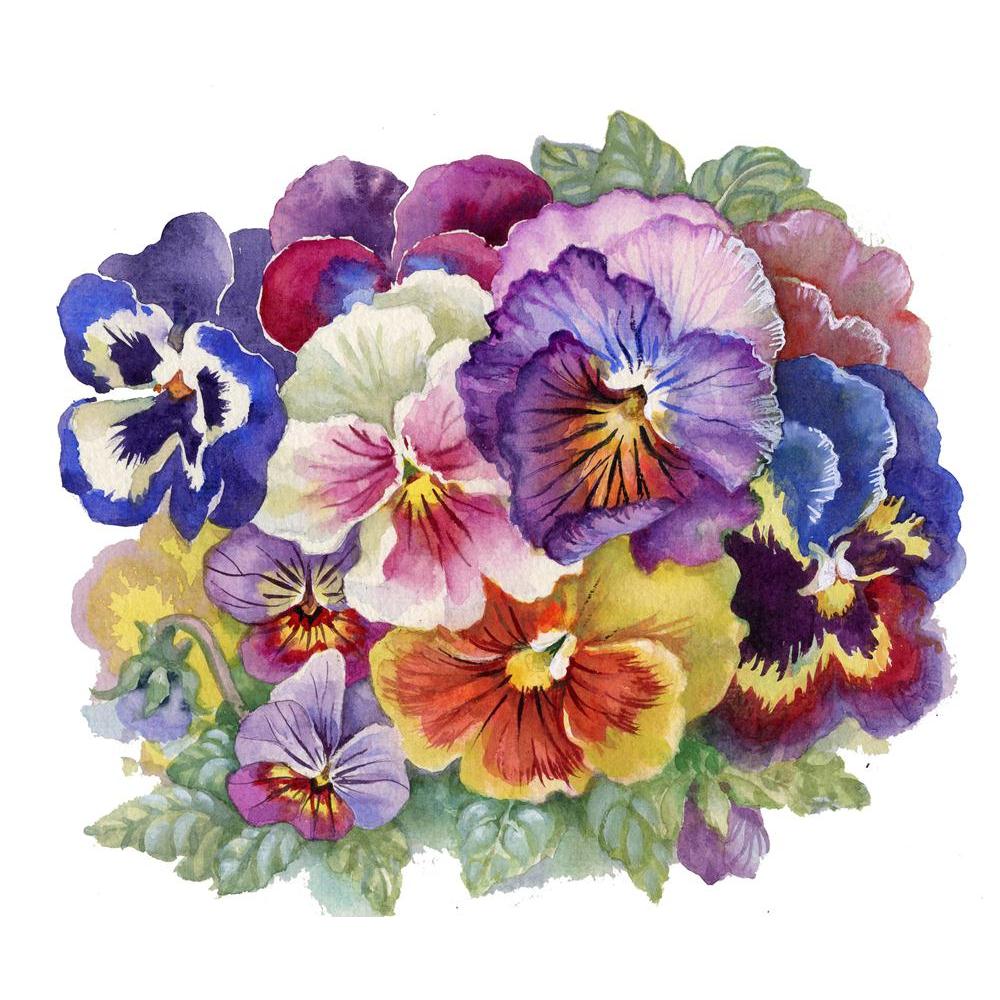 Pitaara Box Viola Tricolor Peel & Stick Vinyl Wall Sticker-Laminated Wall Stickers-PBART15530488LAM_UN_L-Image Code 5001605 Vishnu Image Folio Pvt Ltd, IC 5001605, Pitaara Box, Laminated Wall Stickers, Floral, Fine Art Reprint, viola, tricolor, peel, stick, vinyl, wall, sticker, wall sticker for bedroom, large size wall decal, wall sticker for drawing room, living room wall sticker decal, artzfolio, decorative wall sticker decal, big size wall sticker, waterproof wall sticker for home, wall sticker for offi