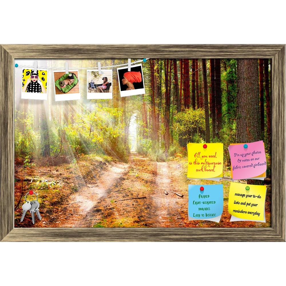 ArtzFolio Autumn Forest D1 Printed Bulletin Board Notice Pin Board Soft Board | Framed-Bulletin Boards Framed-AZSAO15622380BLB_FR_L-Image Code 5001626 Vishnu Image Folio Pvt Ltd, IC 5001626, ArtzFolio, Bulletin Boards Framed, Landscapes, Photography, autumn, forest, d1, printed, bulletin, board, notice, pin, soft, framed, pin up board, push pin board, extra large cork board, big pin board, notice board, small bulletin board, cork board, wall notice board, giant cork board, bulletin board, office notice boar