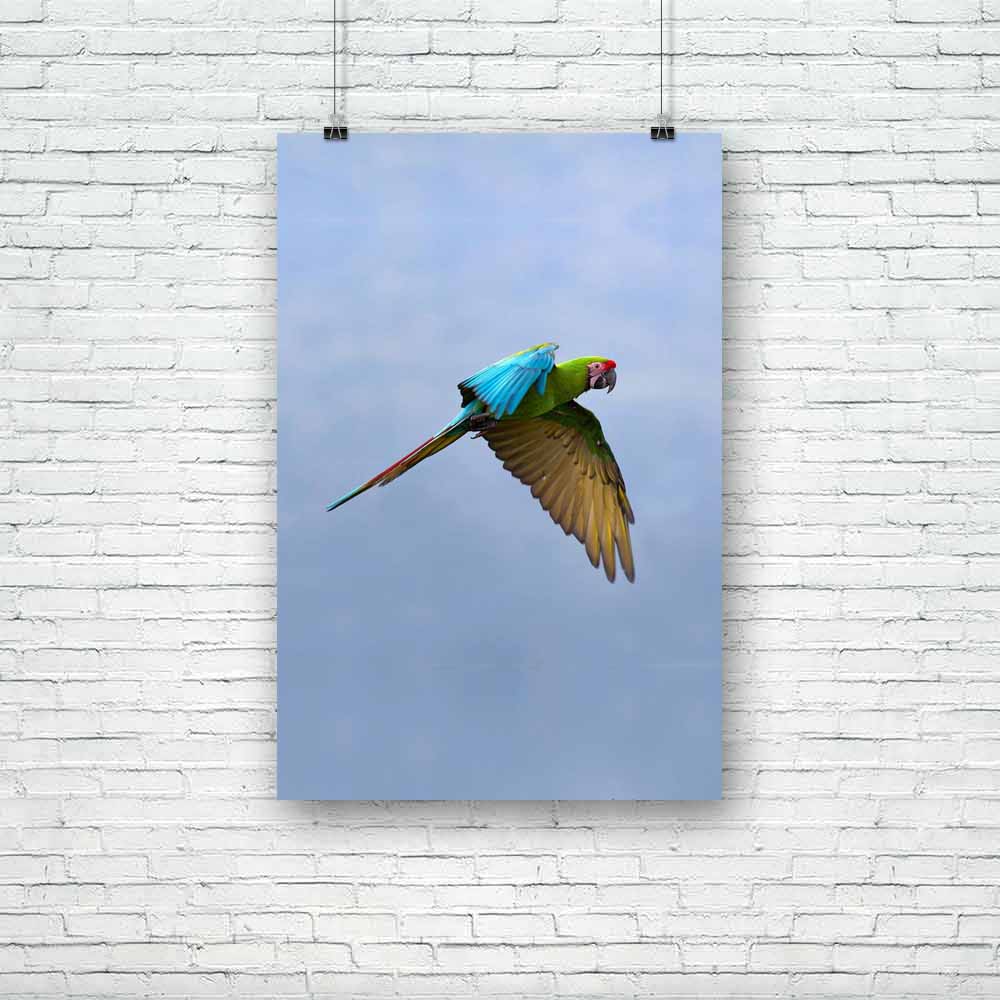 Military Macaw Unframed Paper Poster-Paper Posters Unframed-POS_UN-IC 5001661 IC 5001661, American, Animals, Birds, Black and White, Mountains, Nature, Scenic, Tropical, White, Wildlife, military, macaw, unframed, paper, poster, parrot, amazon, amazonian, america, animal, ara, avian, background, bay, beak, bill, bird, blue, brazil, color, colorful, exotic, eye, fauna, feather, feathers, flight, flying, format, green, head, horizontal, isolated, life, mountain, national, nobody, north, ornithology, outdoor, 