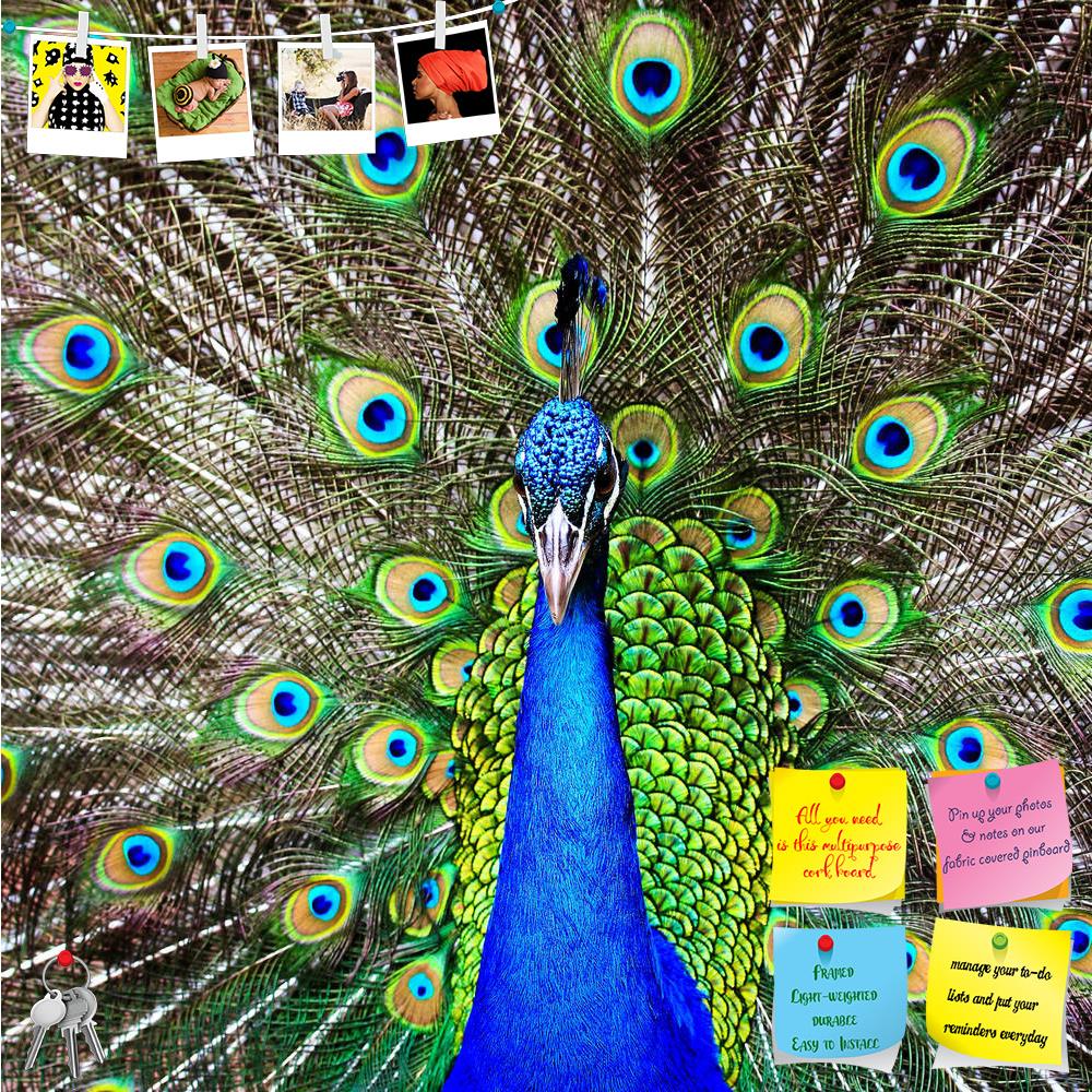 ArtzFolio Green Peacock Printed Bulletin Board Notice Pin Board Soft Board | Frameless-Bulletin Boards Frameless-AZSAO15848702BLB_FL_L-Image Code 5001664 Vishnu Image Folio Pvt Ltd, IC 5001664, ArtzFolio, Bulletin Boards Frameless, Birds, Photography, green, peacock, printed, bulletin, board, notice, pin, soft, frameless, beautiful, pin up board, push pin board, extra large cork board, big pin board, notice board, small bulletin board, cork board, wall notice board, giant cork board, bulletin board, office 