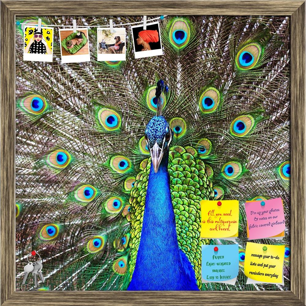 ArtzFolio Green Peacock Printed Bulletin Board Notice Pin Board Soft Board | Framed-Bulletin Boards Framed-AZSAO15848702BLB_FR_L-Image Code 5001664 Vishnu Image Folio Pvt Ltd, IC 5001664, ArtzFolio, Bulletin Boards Framed, Birds, Photography, green, peacock, printed, bulletin, board, notice, pin, soft, framed, beautiful, pin up board, push pin board, extra large cork board, big pin board, notice board, small bulletin board, cork board, wall notice board, giant cork board, bulletin board, office notice board