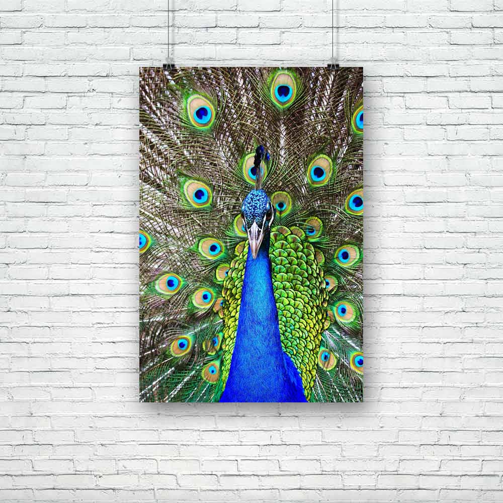 Green Peacock Unframed Paper Poster-Paper Posters Unframed-POS_UN-IC 5001664 IC 5001664, Animals, Birds, Nature, Patterns, Scenic, Tropical, Wildlife, green, peacock, unframed, paper, poster, feather, feathers, peacocks, animal, background, beak, beautiful, beauty, bird, blue, bright, ceremony, close, up, cockerel, color, colorful, dancing, day, descriptive, elegance, exhibition, head, horizontal, majestic, male, multi, neck, pattern, pheasant, plumage, pride, ritual, showing, tail, turquoise, vibrant, vita