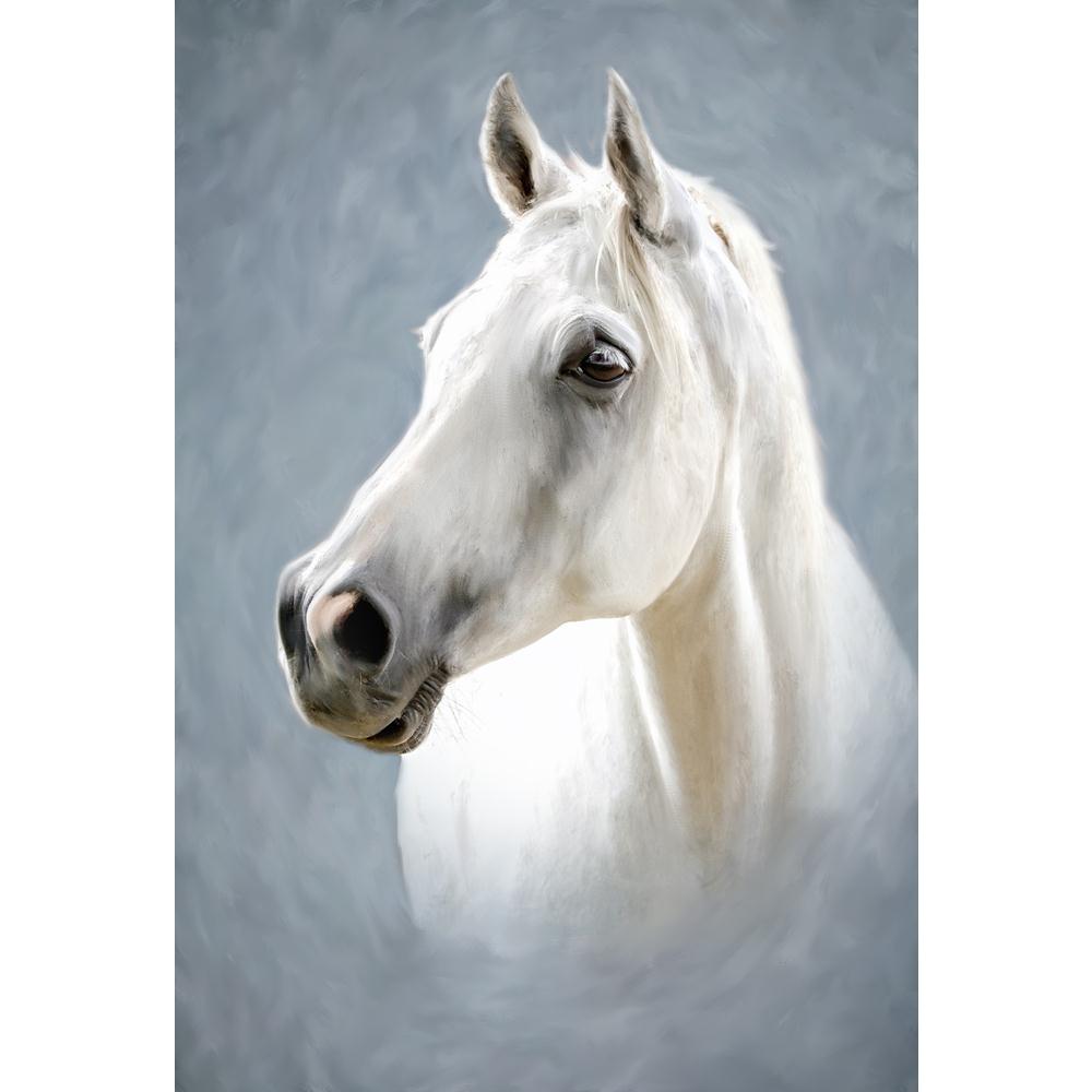 Portrait Of A White Horse Canvas Painting Synthetic Frame-Paintings MDF Framing-AFF_FR-IC 5001685 IC 5001685, Animals, Art and Paintings, Black and White, Individuals, Paintings, Portraits, Rural, White, portrait, of, a, horse, canvas, painting, synthetic, frame, oil, head, animal, brushed, farm, outdoor, picture, stylized, artzfolio, wall decor for living room, wall frames for living room, frames for living room, wall art, canvas painting, wall frame, scenery, panting, paintings for living room, framed wal