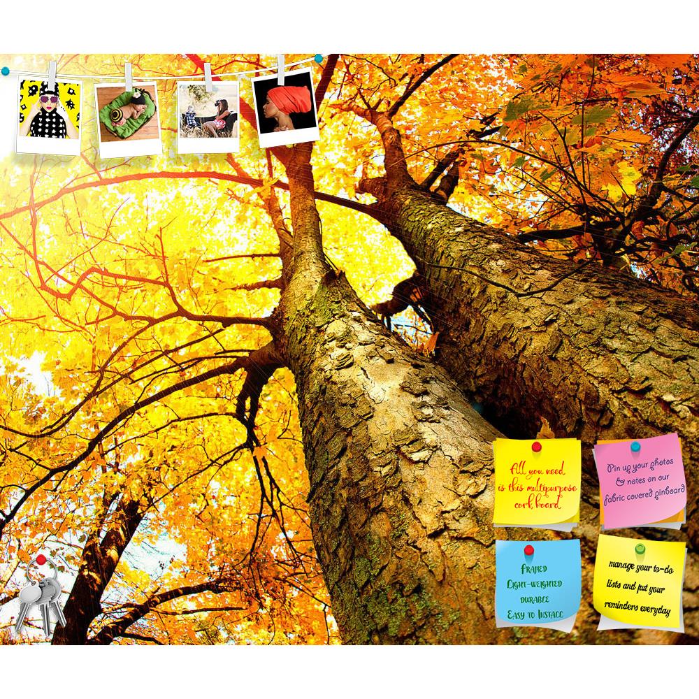 ArtzFolio Autumn Trees Fall Printed Bulletin Board Notice Pin Board Soft Board | Frameless-Bulletin Boards Frameless-AZSAO16058407BLB_FL_L-Image Code 5001697 Vishnu Image Folio Pvt Ltd, IC 5001697, ArtzFolio, Bulletin Boards Frameless, Landscapes, Photography, autumn, trees, fall, printed, bulletin, board, notice, pin, soft, frameless, pin up board, push pin board, extra large cork board, big pin board, notice board, small bulletin board, cork board, wall notice board, giant cork board, bulletin board, offi