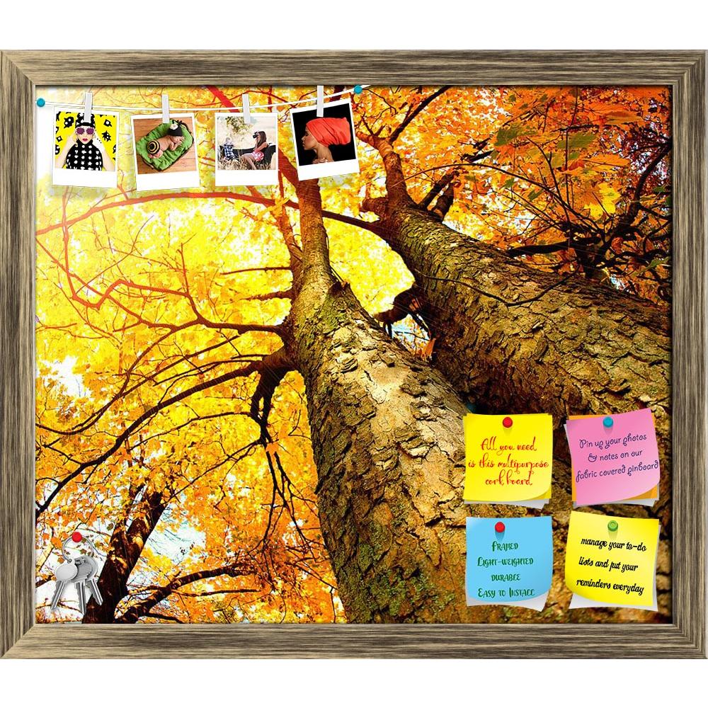 ArtzFolio Autumn Trees Fall Printed Bulletin Board Notice Pin Board Soft Board | Framed-Bulletin Boards Framed-AZSAO16058407BLB_FR_L-Image Code 5001697 Vishnu Image Folio Pvt Ltd, IC 5001697, ArtzFolio, Bulletin Boards Framed, Landscapes, Photography, autumn, trees, fall, printed, bulletin, board, notice, pin, soft, framed, pin up board, push pin board, extra large cork board, big pin board, notice board, small bulletin board, cork board, wall notice board, giant cork board, bulletin board, office notice bo