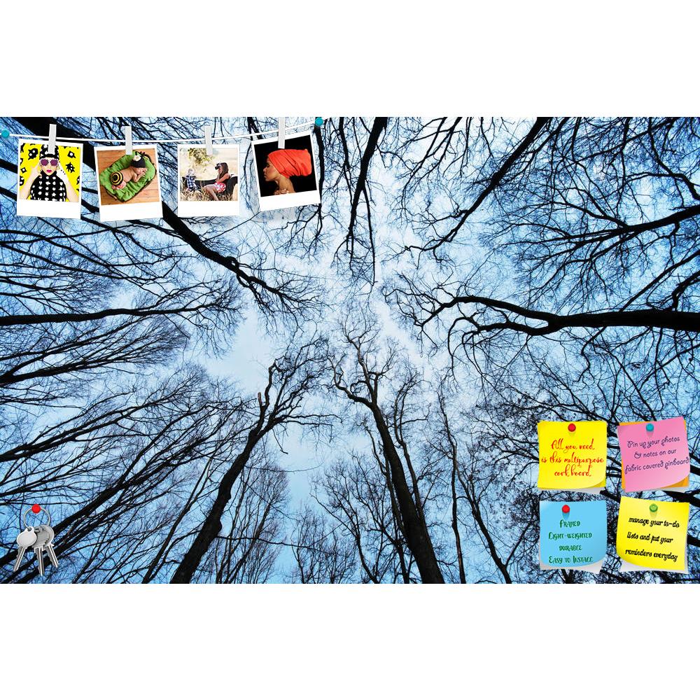 ArtzFolio Bare Trees Printed Bulletin Board Notice Pin Board Soft Board | Frameless-Bulletin Boards Frameless-AZSAO16059512BLB_FL_L-Image Code 5001700 Vishnu Image Folio Pvt Ltd, IC 5001700, ArtzFolio, Bulletin Boards Frameless, Landscapes, Photography, bare, trees, printed, bulletin, board, notice, pin, soft, frameless, winter, pin up board, push pin board, extra large cork board, big pin board, notice board, small bulletin board, cork board, wall notice board, giant cork board, bulletin board, office noti