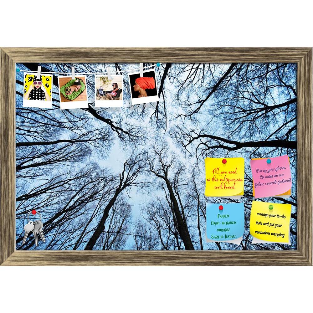ArtzFolio Bare Trees Printed Bulletin Board Notice Pin Board Soft Board | Framed-Bulletin Boards Framed-AZSAO16059512BLB_FR_L-Image Code 5001700 Vishnu Image Folio Pvt Ltd, IC 5001700, ArtzFolio, Bulletin Boards Framed, Landscapes, Photography, bare, trees, printed, bulletin, board, notice, pin, soft, framed, winter, pin up board, push pin board, extra large cork board, big pin board, notice board, small bulletin board, cork board, wall notice board, giant cork board, bulletin board, office notice board, of