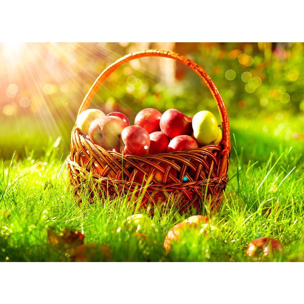 Photo of Organic Apples In The Basket Orchard Canvas Painting Synthetic Frame-Paintings MDF Framing-AFF_FR-IC 5001714 IC 5001714, Cuisine, Culture, Ethnic, Food, Food and Beverage, Food and Drink, Fruit and Vegetable, Fruits, Health, Nature, Scenic, Seasons, Traditional, Tribal, World Culture, photo, of, organic, apples, in, the, basket, orchard, canvas, painting, synthetic, frame, apple, tree, fruit, agricultural, agriculture, autumn, backlit, beams, bio, branch, bunch, closeup, color, countryside, crop, d