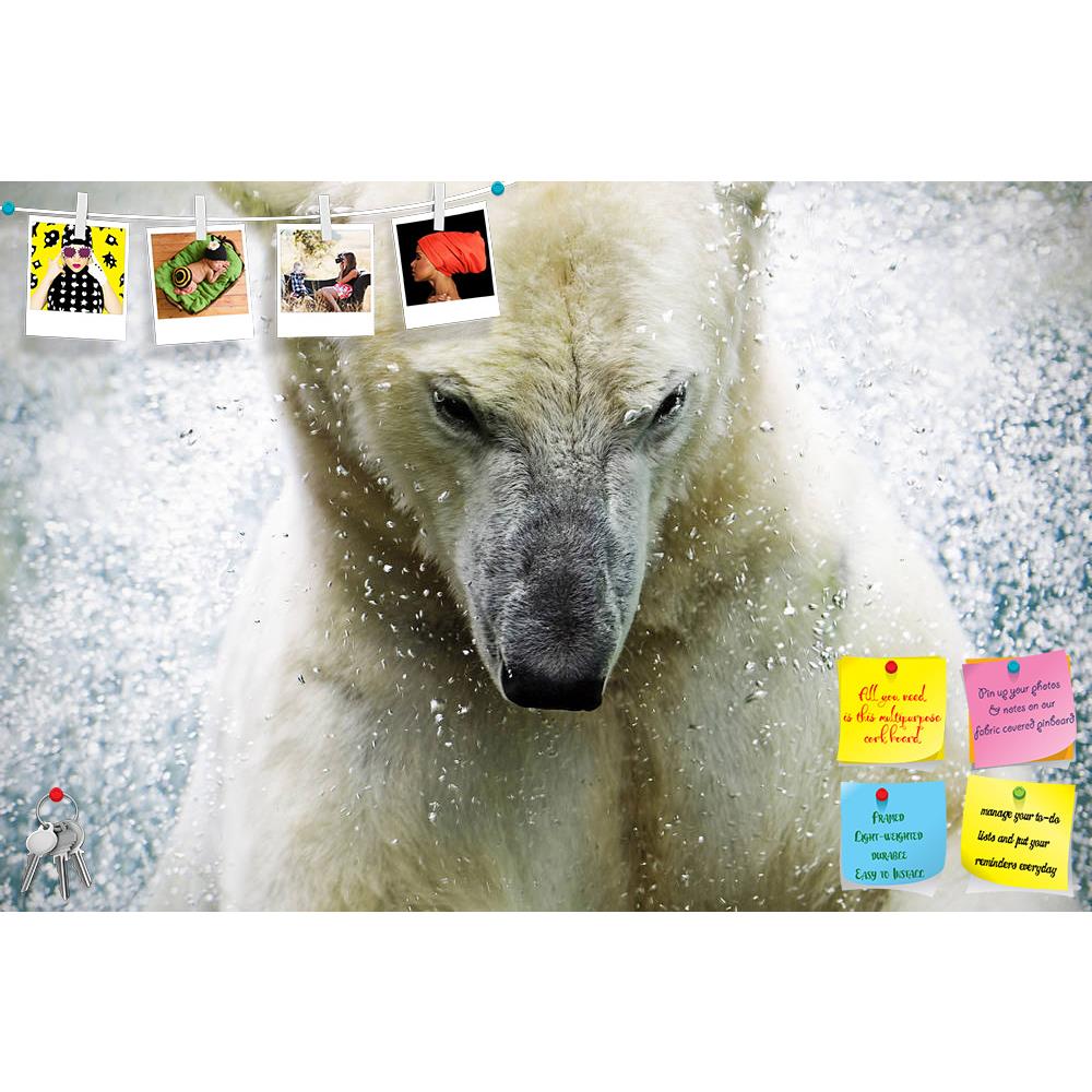 ArtzFolio Polarbear At The Augsburger Zoo Germany Printed Bulletin Board Notice Pin Board Soft Board | Frameless-Bulletin Boards Frameless-AZSAO16208894BLB_FL_L-Image Code 5001726 Vishnu Image Folio Pvt Ltd, IC 5001726, ArtzFolio, Bulletin Boards Frameless, Animals, Photography, polarbear, at, the, augsburger, zoo, germany, printed, bulletin, board, notice, pin, soft, frameless, pin up board, push pin board, extra large cork board, big pin board, notice board, small bulletin board, cork board, wall notice b