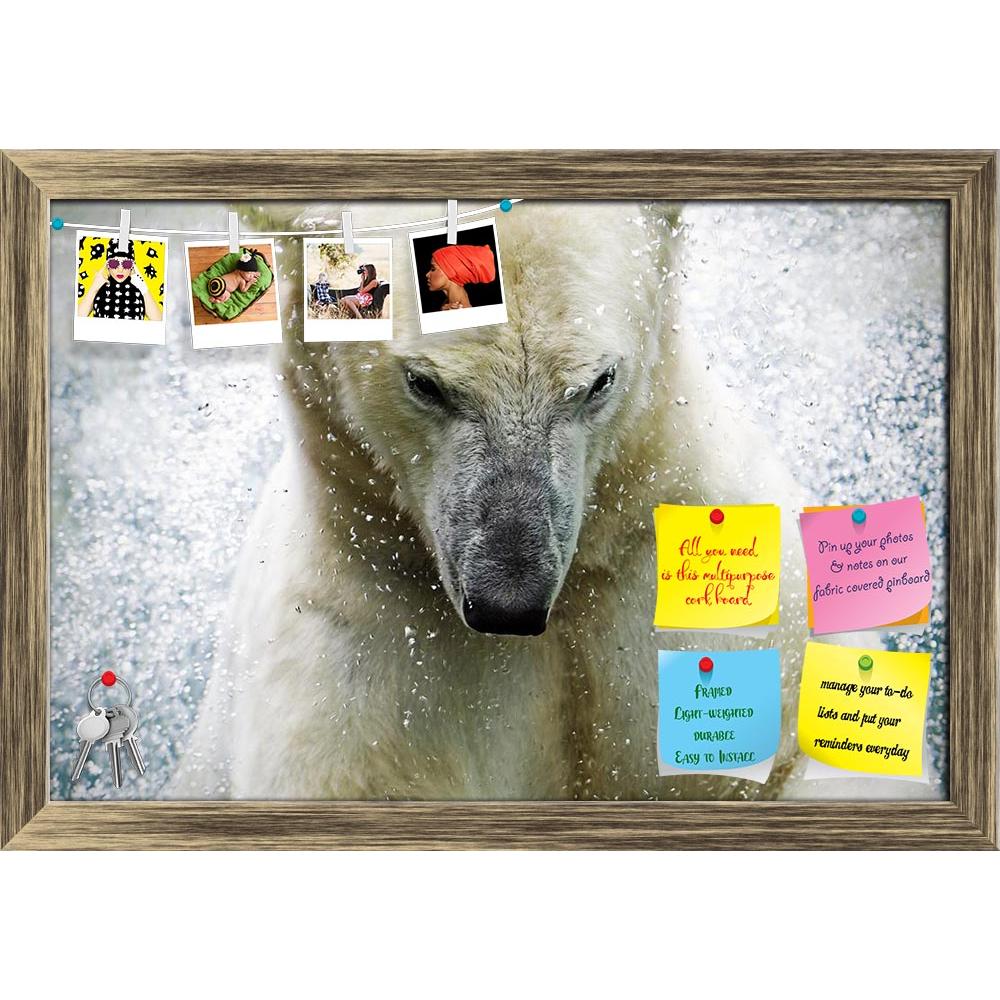 ArtzFolio Polarbear At The Augsburger Zoo Germany Printed Bulletin Board Notice Pin Board Soft Board | Framed-Bulletin Boards Framed-AZSAO16208894BLB_FR_L-Image Code 5001726 Vishnu Image Folio Pvt Ltd, IC 5001726, ArtzFolio, Bulletin Boards Framed, Animals, Photography, polarbear, at, the, augsburger, zoo, germany, printed, bulletin, board, notice, pin, soft, framed, pin up board, push pin board, extra large cork board, big pin board, notice board, small bulletin board, cork board, wall notice board, giant 
