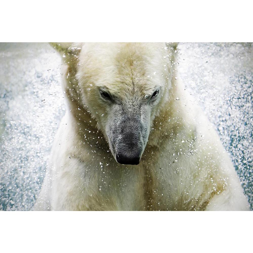 ArtzFolio Polarbear At The Augsburger Zoo Germany Unframed Paper Poster-Paper Posters Unframed-AZART16208894POS_UN_L-Image Code 5001726 Vishnu Image Folio Pvt Ltd, IC 5001726, ArtzFolio, Paper Posters Unframed, Animals, Photography, polarbear, at, the, augsburger, zoo, germany, unframed, paper, poster, wall, large, size, for, living, room, home, decoration, big, framed, decor, posters, pitaara, box, modern, art, with, frame, bedroom, amazonbasics, door, drawing, small, decorative, office, reception, multipl