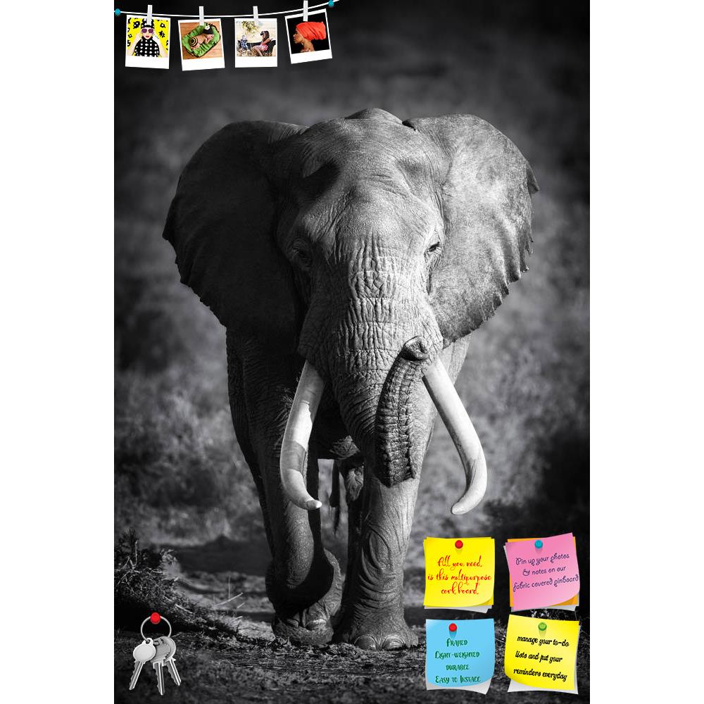 ArtzFolio Large Elephant Printed Bulletin Board Notice Pin Board Soft Board | Frameless-Bulletin Boards Frameless-AZSAO16383168BLB_FL_L-Image Code 5001756 Vishnu Image Folio Pvt Ltd, IC 5001756, ArtzFolio, Bulletin Boards Frameless, Animals, Photography, large, elephant, printed, bulletin, board, notice, pin, soft, frameless, bull, approaching, artistic, processing, pin up board, push pin board, extra large cork board, big pin board, notice board, small bulletin board, cork board, wall notice board, giant c