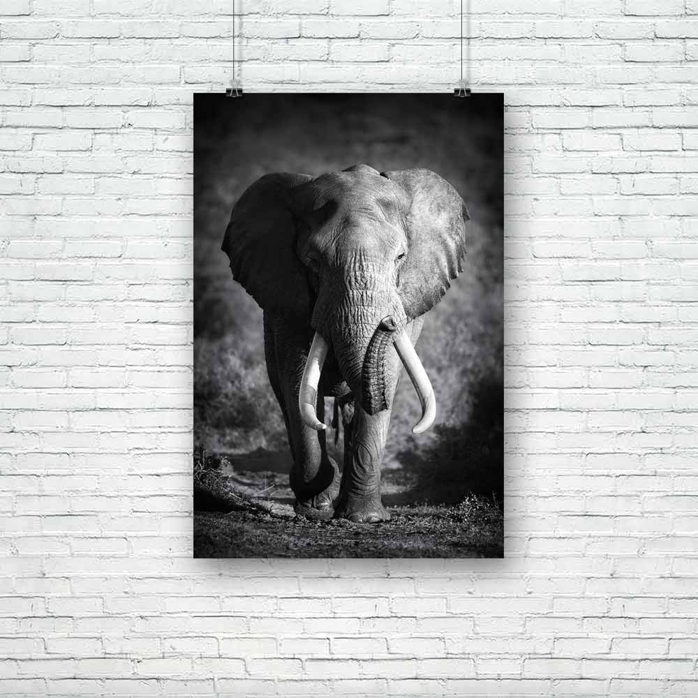 Large Elephant Unframed Paper Poster-Paper Posters Unframed-POS_UN-IC 5001756 IC 5001756, African, Animals, Art and Paintings, Black, Black and White, Nature, Scenic, White, Wildlife, large, elephant, unframed, paper, poster, and, bull, elephants, africa, animal, approach, art, artistic, b, w, big, front, huge, image, loxodonta, male, mammal, massive, monochrome, moody, national, nobody, old, one, outdoor, park, tusks, view, walk, wild, artzfolio, posters, wall posters, posters for room, posters for room de