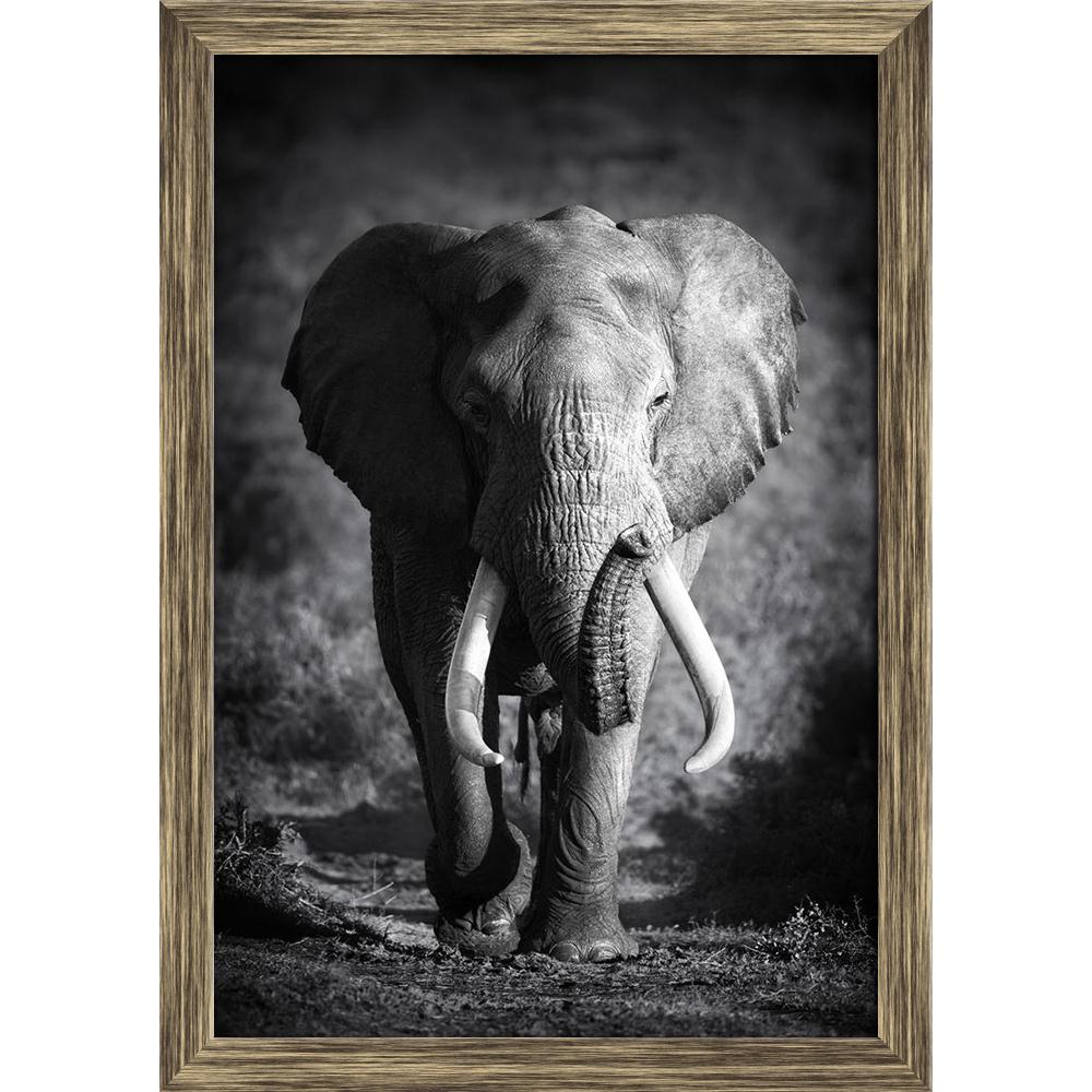 Pitaara Box Large Elephant Canvas Painting Synthetic Frame-Paintings Synthetic Framing-PBART16383168AFF_FW_L-Image Code 5001756 Vishnu Image Folio Pvt Ltd, IC 5001756, Pitaara Box, Paintings Synthetic Framing, Animals, Photography, large, elephant, canvas, painting, synthetic, frame, bull, approaching, artistic, processing, framed canvas print, wall painting for living room with frame, canvas painting for living room, artzfolio, poster, framed canvas painting, wall painting with frame, canvas painting with 