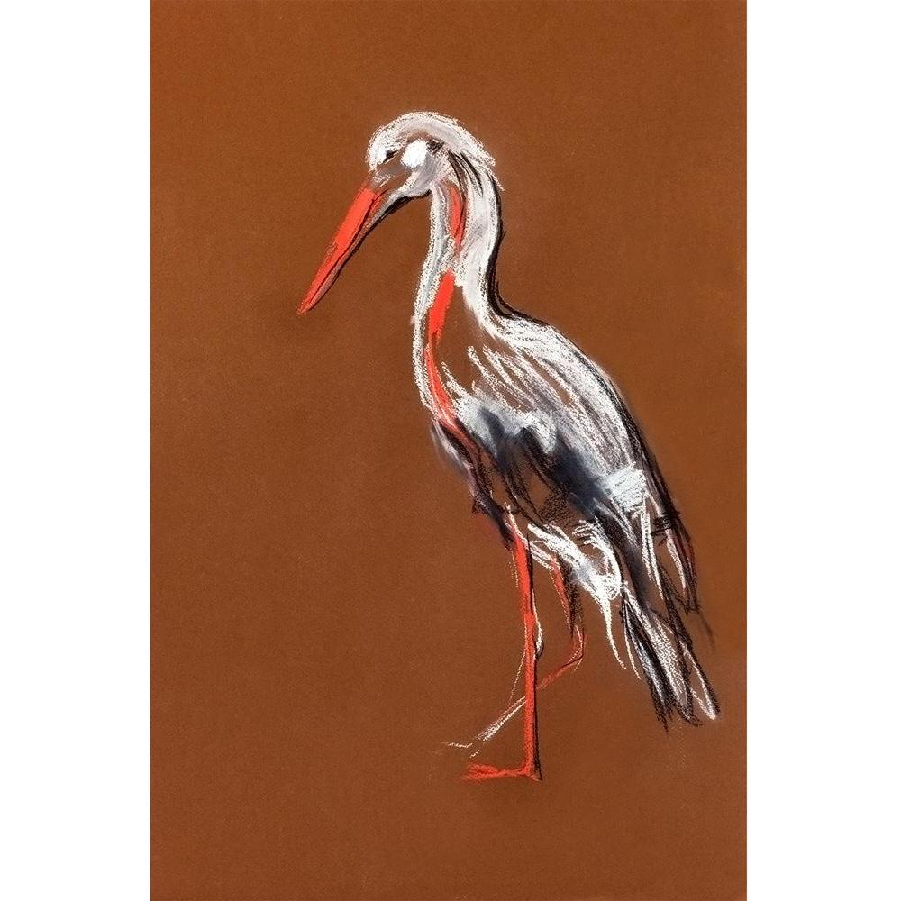 ArtzFolio Stork Unframed Paper Poster-Paper Posters Unframed-AZART16392356POS_UN_L-Image Code 5001757 Vishnu Image Folio Pvt Ltd, IC 5001757, ArtzFolio, Paper Posters Unframed, Birds, Fine Art Reprint, stork, unframed, paper, poster, wall, large, size, for, living, room, home, decoration, big, framed, decor, posters, pitaara, box, modern, art, with, frame, bedroom, amazonbasics, door, drawing, small, decorative, office, reception, multiple, friends, images, reprints, reprint, kids, bathroom, designer, paint