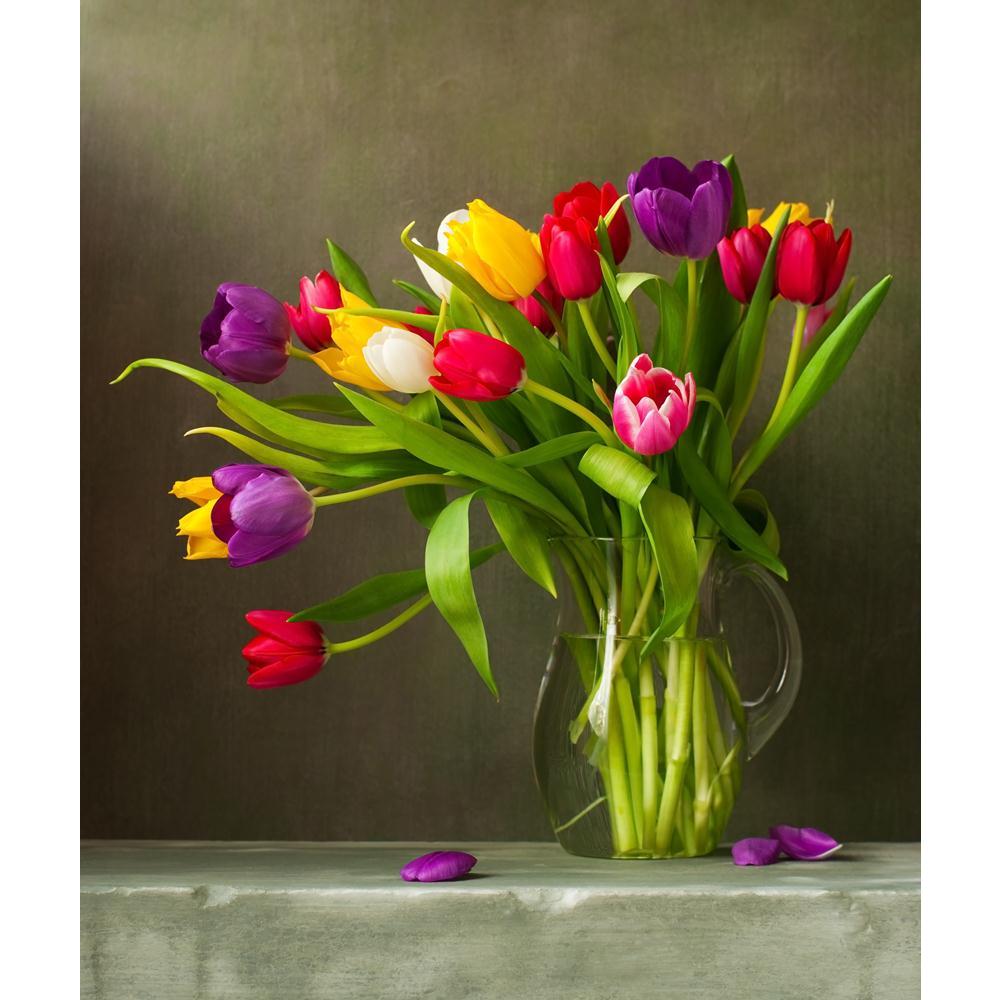 Still Life With Colorful Tulips Canvas Painting Synthetic Frame-Paintings MDF Framing-AFF_FR-IC 5001805 IC 5001805, Black and White, Botanical, Floral, Flowers, Nature, Scenic, Signs, Signs and Symbols, Still Life, White, still, life, with, colorful, tulips, canvas, painting, synthetic, frame, flower, tulip, morte, bouquet, fleur, beautiful, composition, decoration, design, flavor, fragrant, green, nice, pink, plant, purple, red, violet, yellow, artzfolio, wall decor for living room, wall frames for living 