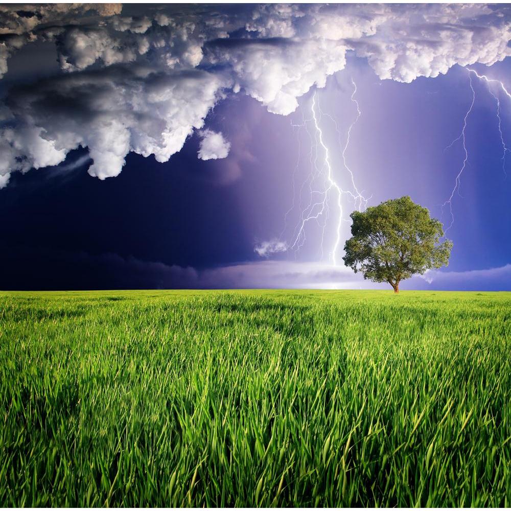 Thunderstorm With Lightning Canvas Painting Synthetic Frame-Paintings MDF Framing-AFF_FR-IC 5001861 IC 5001861, Botanical, Countries, Culture, Ethnic, Floral, Flowers, Landscapes, Nature, Religion, Religious, Rural, Scenic, Seasons, Traditional, Tribal, Wildlife, World Culture, thunderstorm, with, lightning, canvas, painting, synthetic, frame, agriculture, beautiful, bolt, bright, cataclysm, climate, cloud, cornfield, country, countryside, danger, dazzle, ecology, energy, environment, farm, field, flash, fl