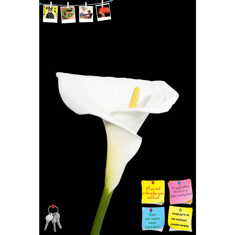 ArtzFolio White Calla Lily Printed Bulletin Board Notice Pin Board Soft Board | Frameless-Bulletin Boards Frameless-AZSAO16995198BLB_FL_L-Image Code 5001867 Vishnu Image Folio Pvt Ltd, IC 5001867, ArtzFolio, Bulletin Boards Frameless, Floral, Photography, white, calla, lily, printed, bulletin, board, notice, pin, soft, frameless, close, image, dark, background, pin up board, push pin board, extra large cork board, big pin board, notice board, small bulletin board, cork board, wall notice board, giant cork b